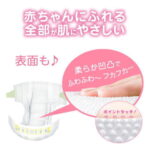 06000‐4901301418579case