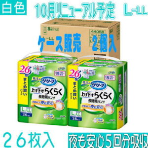 02506- 4901301440587case